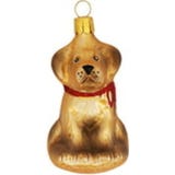 Gablonzer Hund mit rotem Halsband