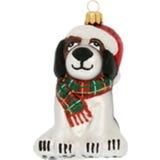 Gablonzer Hund mit Schal
