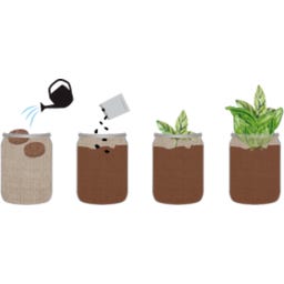 Garden in a glass 